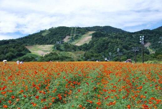 VITZチャレンジＲｏｕｎｄ４　in 富山　速報！！