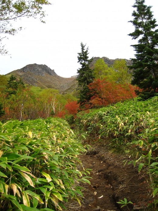 焼岳登山