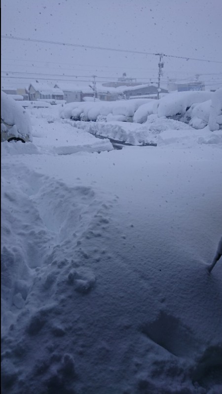 雪！雪！！雪！！！