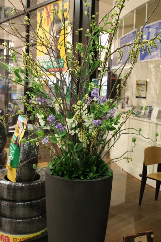 Flower of This week ✿ No.11