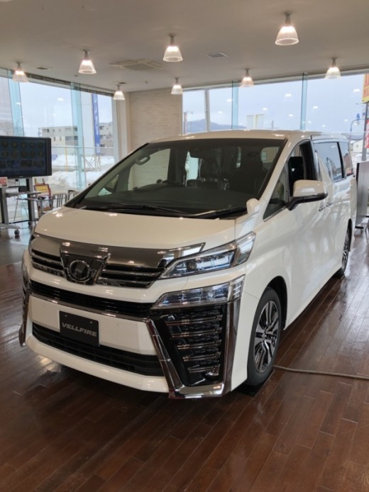 ☆VELLFIRE or not☆