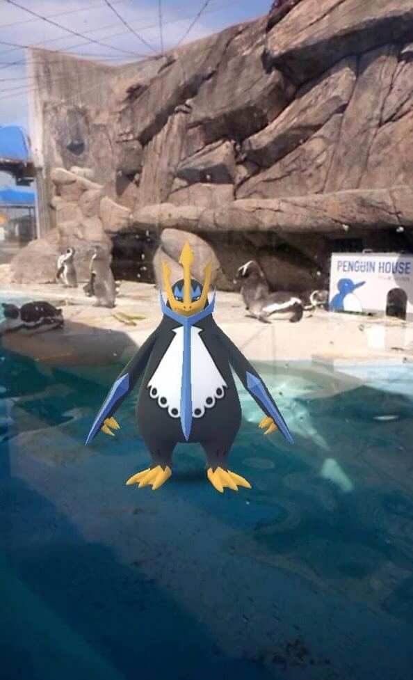 ポケモン ペンギン