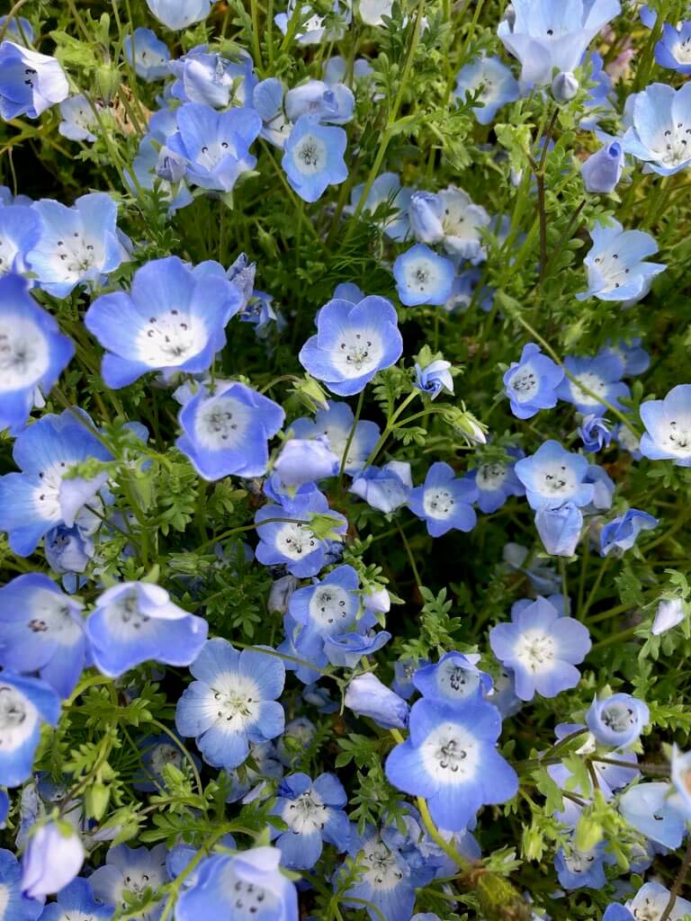 【高岡店】お花を…✿