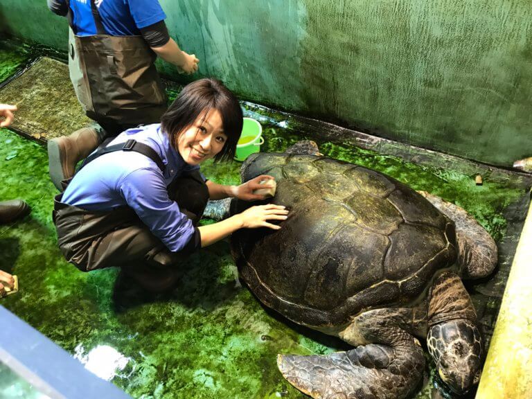 【U-Car富山】ウミガメの水槽を洗おうの巻