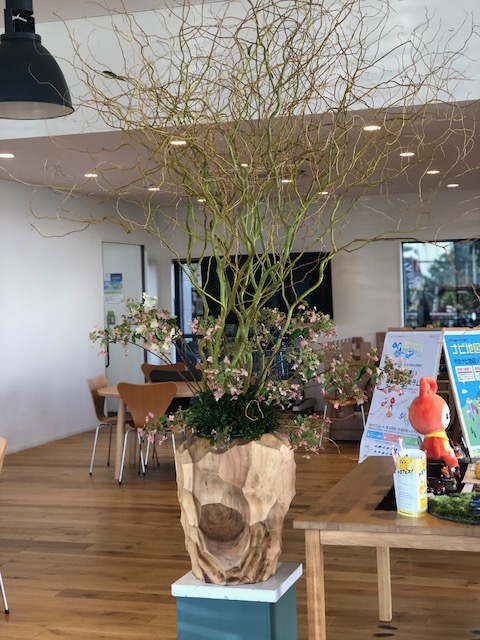 【高岡西店】✿秋の空✿