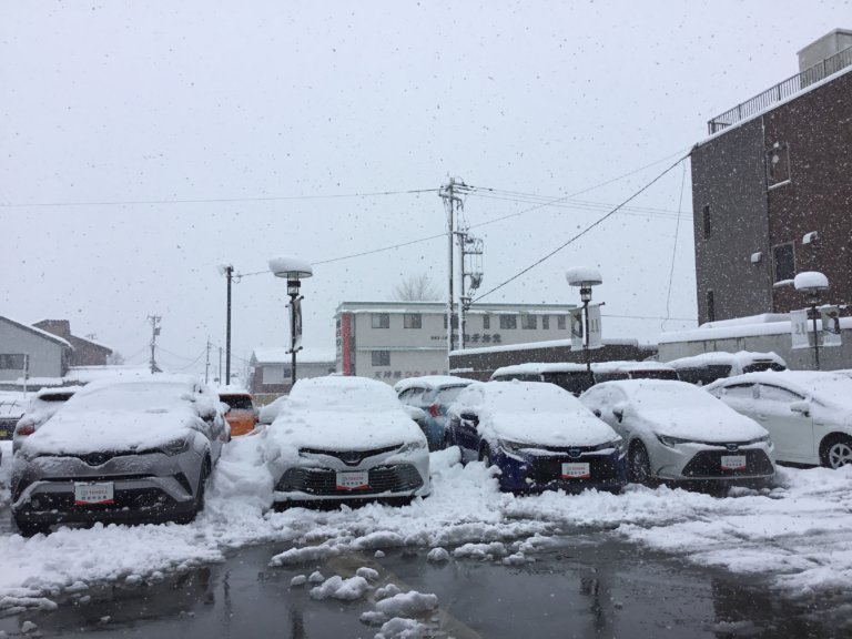 【U-Car高岡】三角葉ミモザ