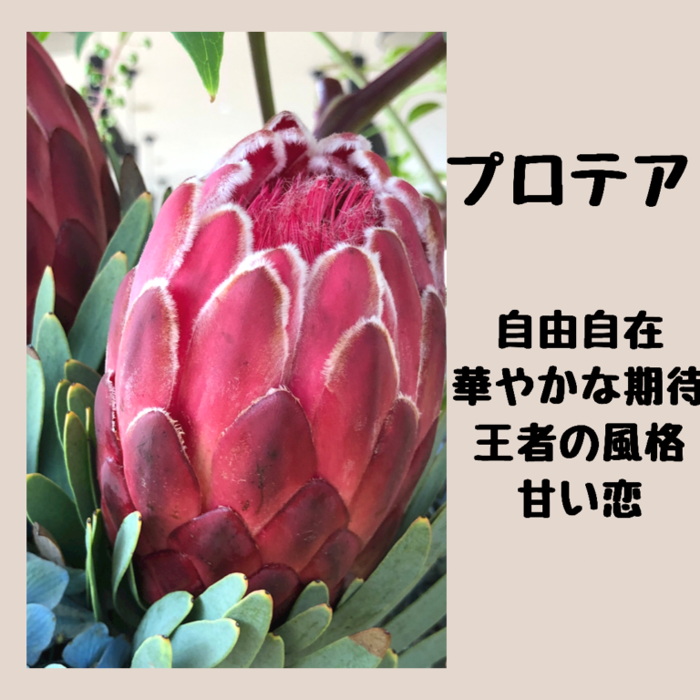 高岡西店 今週のお花 Staff Blog