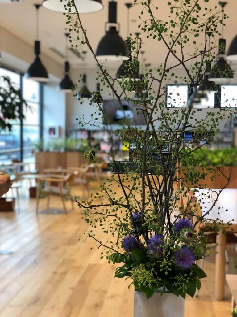 【高岡西店】☆今週のお花☆