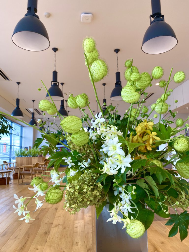 【高岡西店】☆今週のお花☆