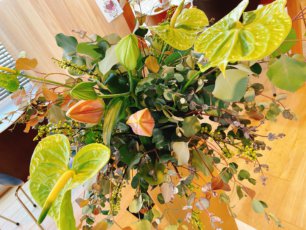 【高岡西店】☆今週のお花☆