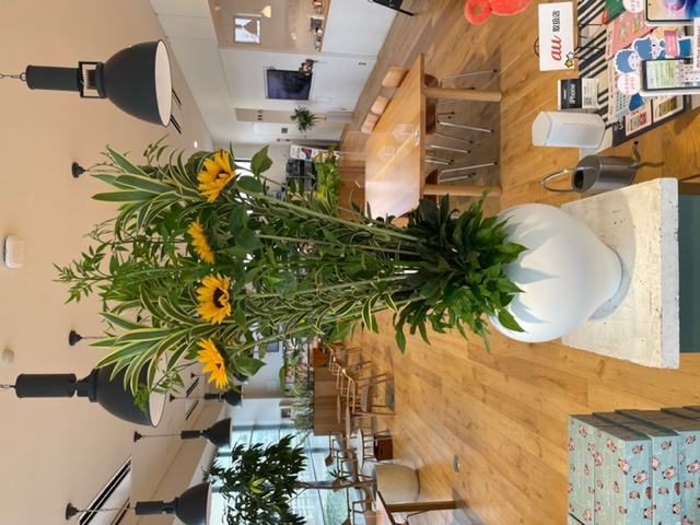 【高岡西店】☆今週のお花☆