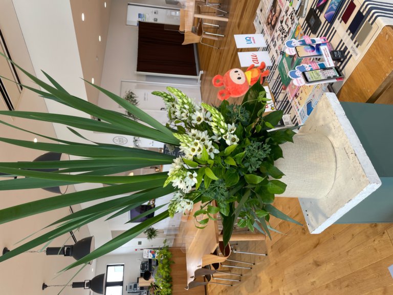 【高岡西店】☆今週のお花☆
