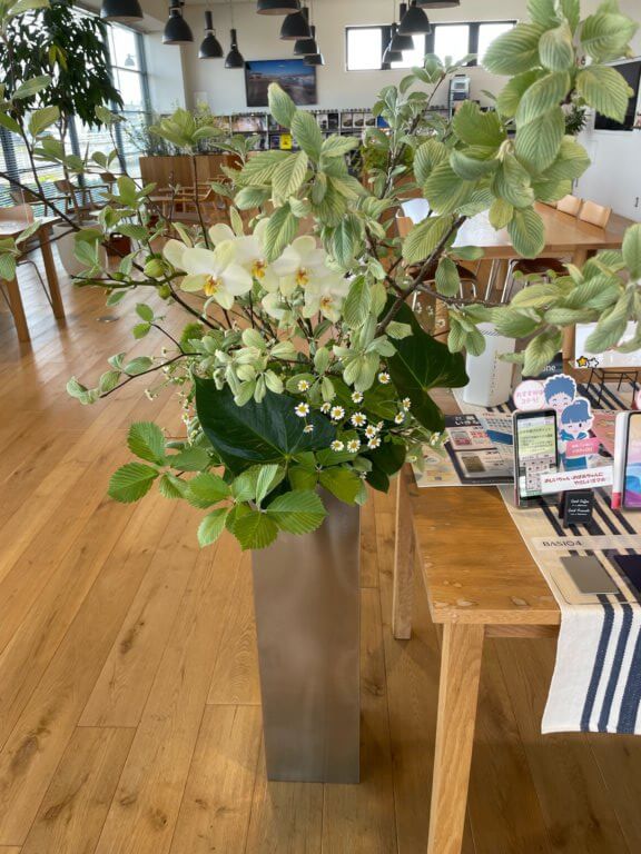 【高岡西店】☆今週のお花☆