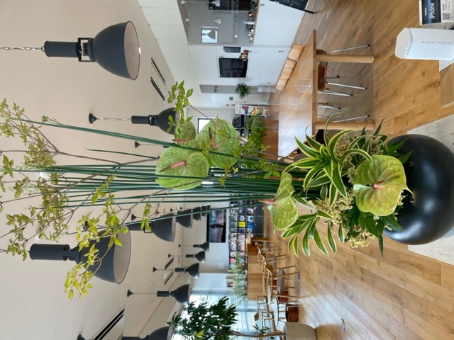 【高岡西店】☆今週のお花☆