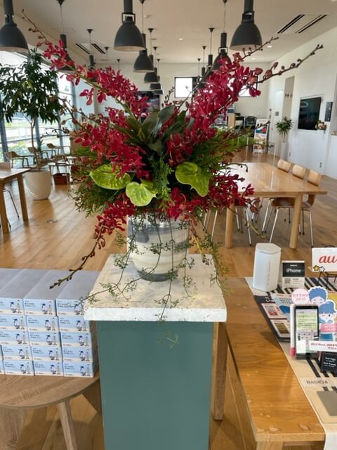 【高岡西店】☆今週のお花☆