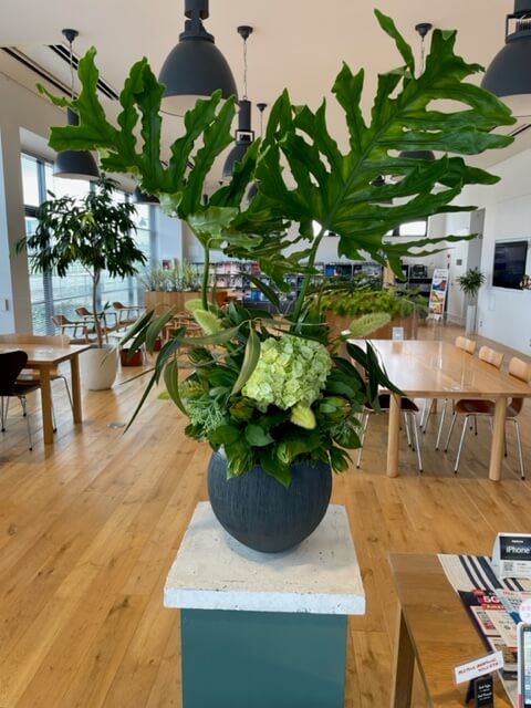【高岡西店】☆今週のお花☆