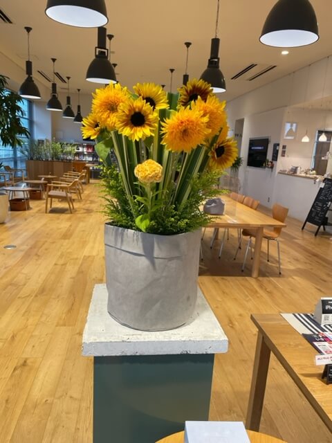 【高岡西店】☆今週のお花☆