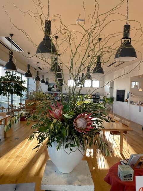【高岡西店】☆今週のお花☆