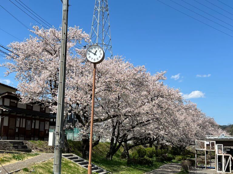 【U-Car富山】第二の故郷