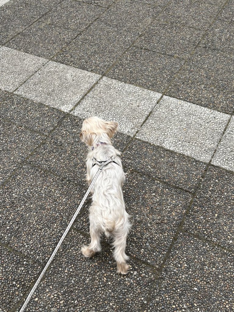 【高岡店】リフレッシュ
