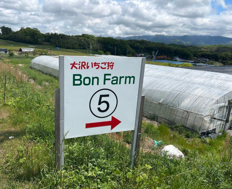 【高岡店】プロゴルファーの絶品いちご