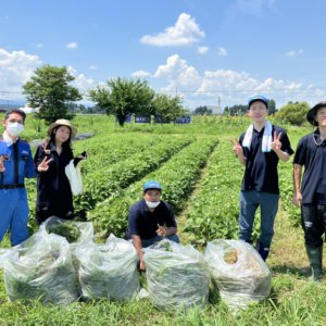 【富山南店】釜ヶ淵コミュニティーガーデン草刈記録！！