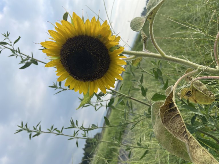 【富山南店】地域貢献活動👩‍🌾釜ヶ淵編🌿