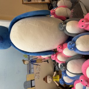 【本店】Bigアミー登場🐧