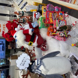 【本店】クリスマスシーズン到来🎄