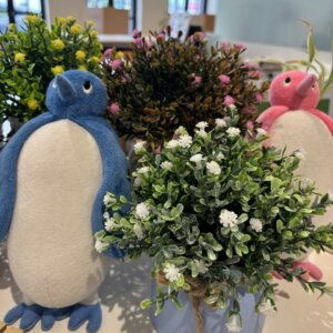 【本店】5月もおわり