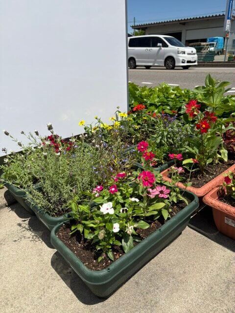 【高岡西店】お花植えました🌸