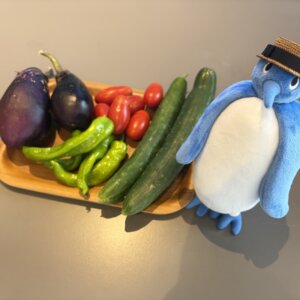 【富山南店】夏野菜収穫祭🥬