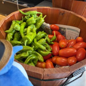 【富山南店】夏野菜収穫祭🌟お盆休みのご案内