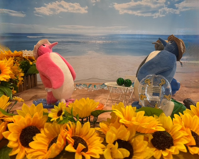 【本店】夏のおわり・・