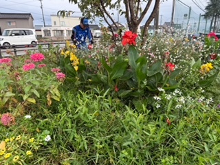 【高岡西店】しあわせ花壇🌷