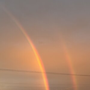 【高岡店】ふと空をみあげたら…🌈🌈